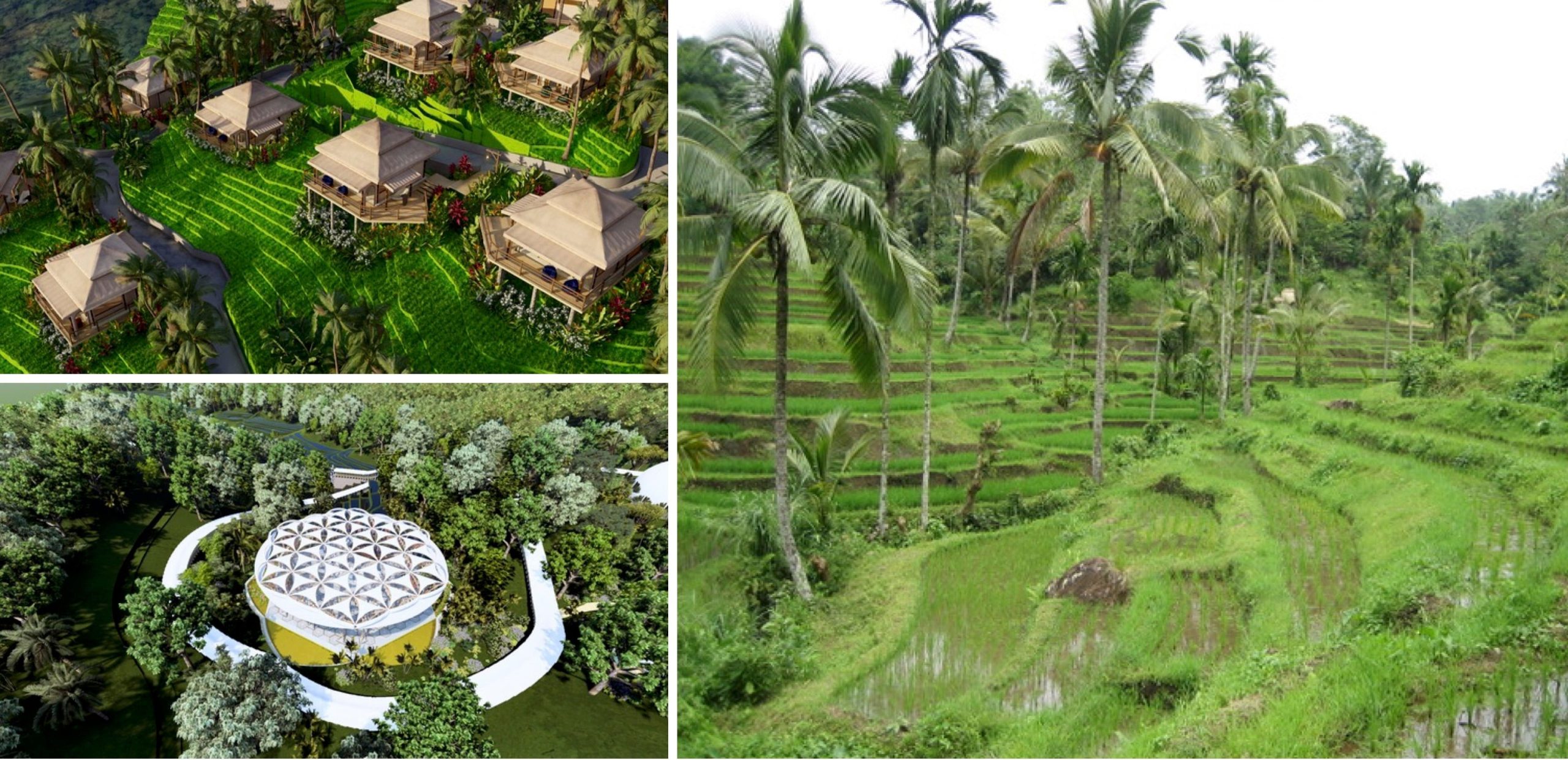 Mario Hintermayer and Family Luxury International Bali 7 scaled Mario Hintermayer https://mariohintermayer.com